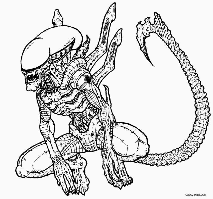 Раскраски Alien Vs Predator