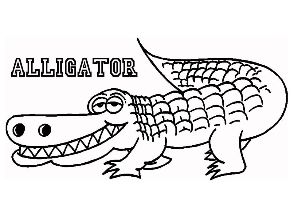Раскраски Аллигатор