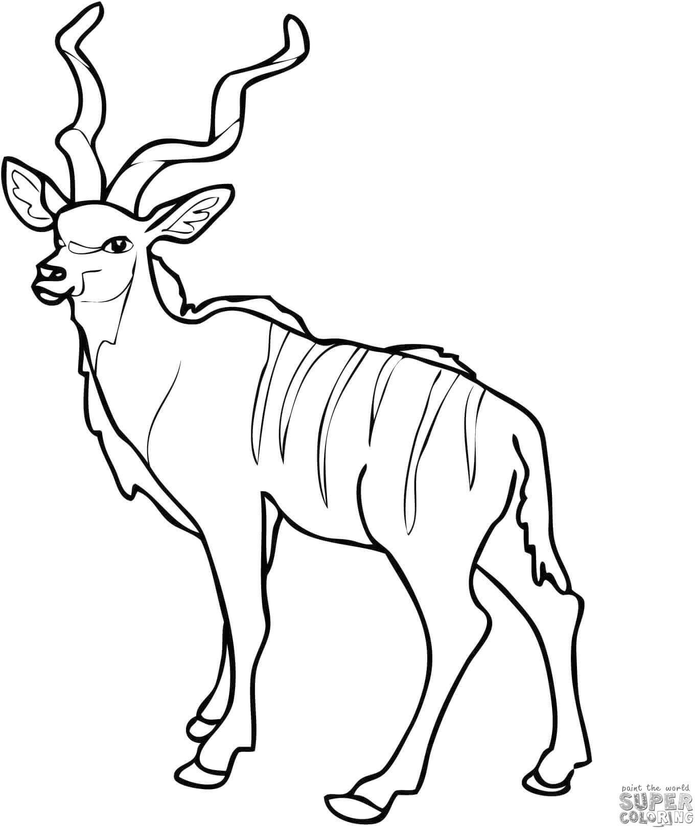 Раскраска антилопа