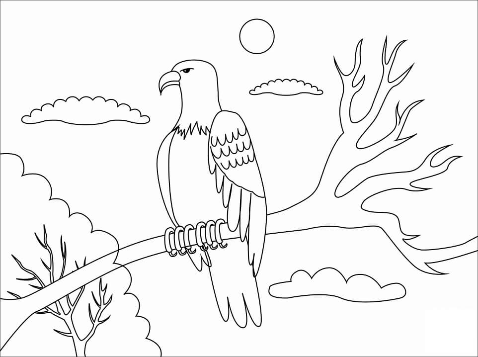 Раскраски белоголовый орел