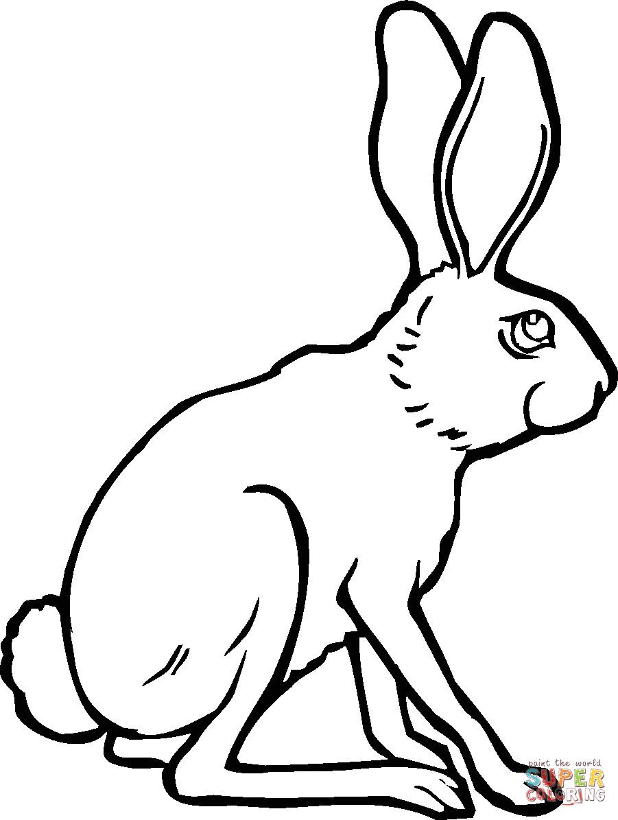 Раскраска заяц