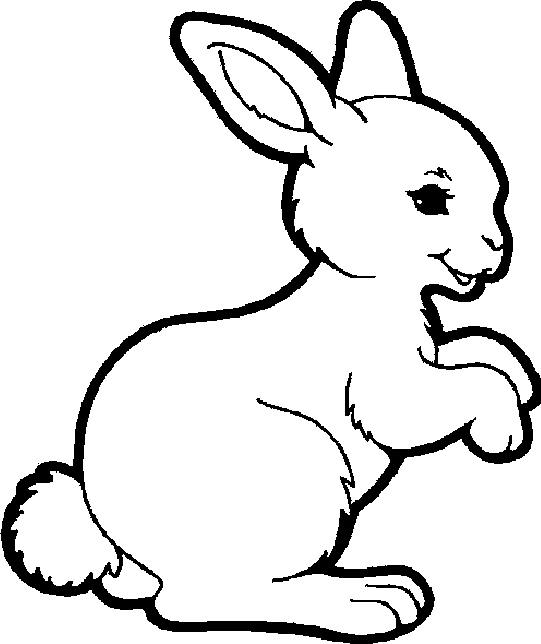 Раскраска заяц