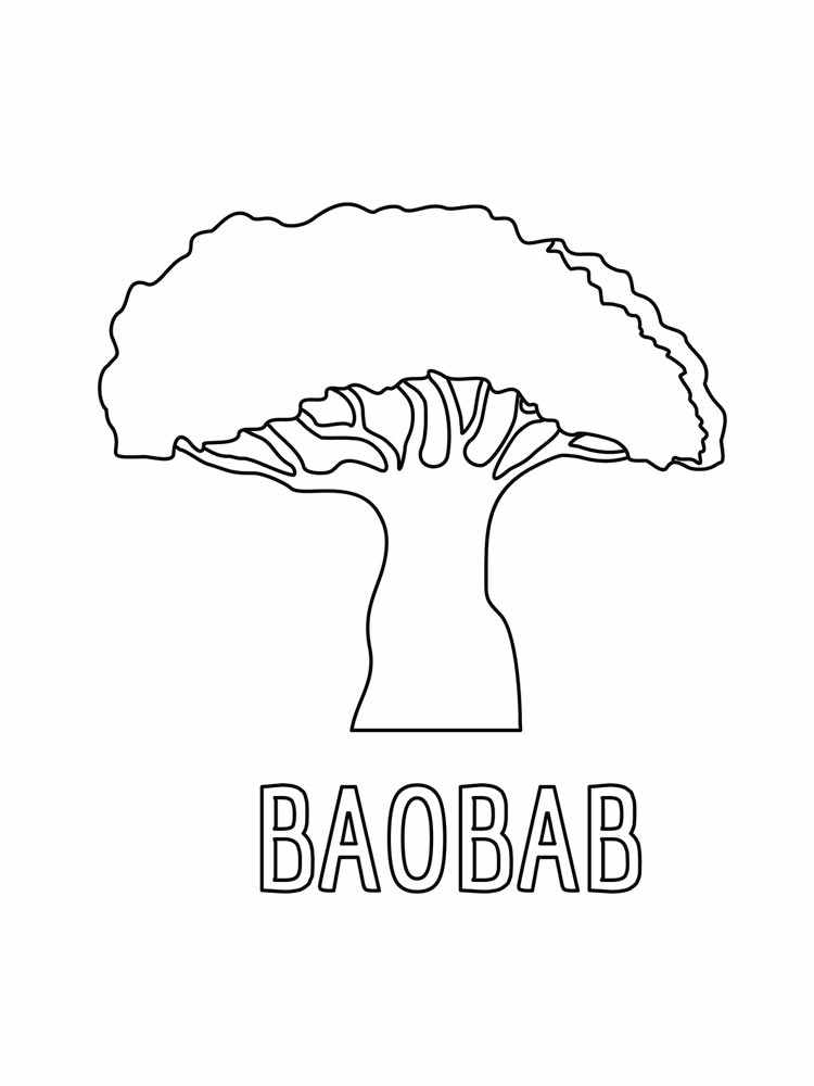 Раскраски Баобаб