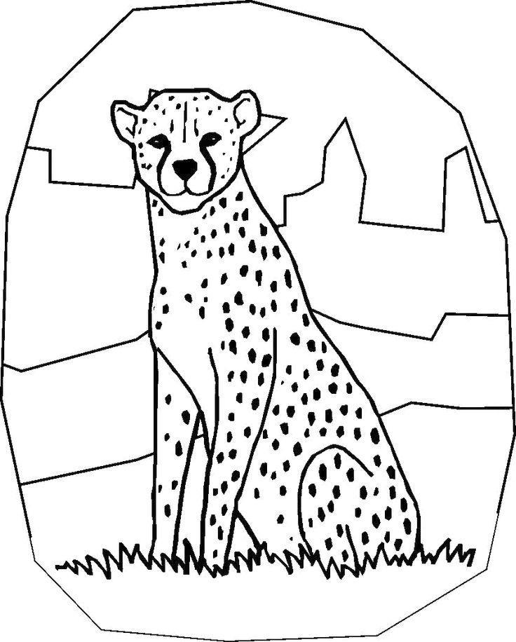 Раскраска гепард