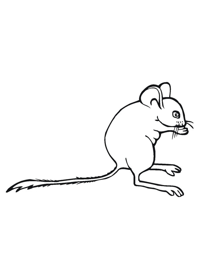 Раскраска мышка