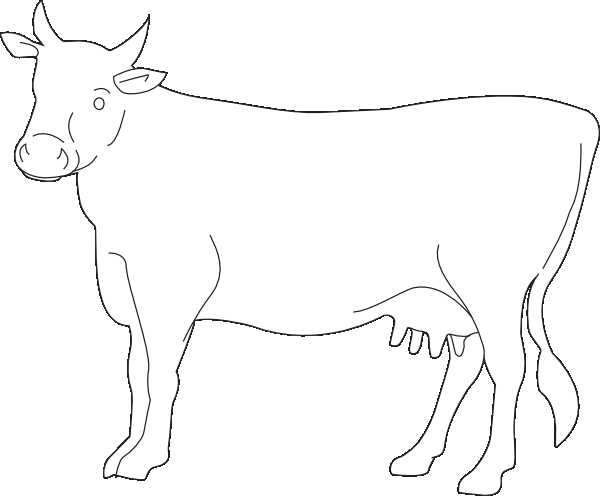 Раскраска Корова