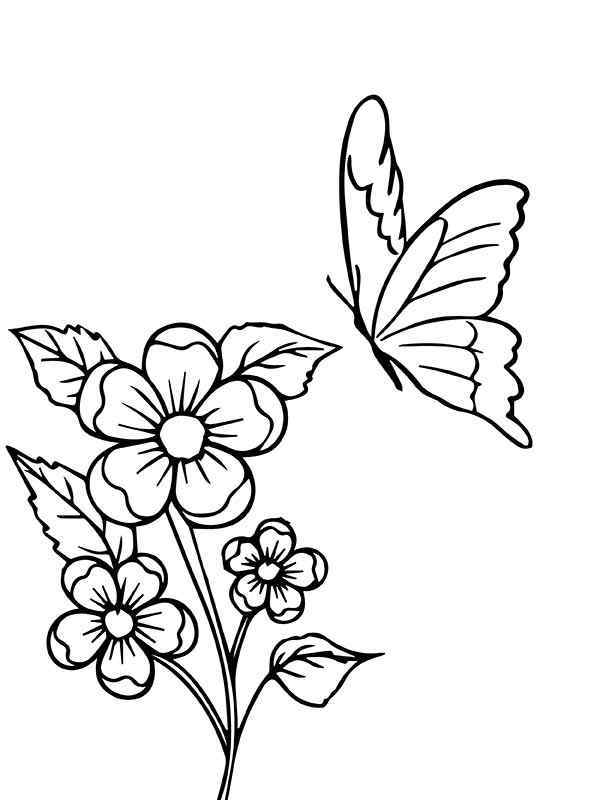 Раскраски Бабочки и цветы