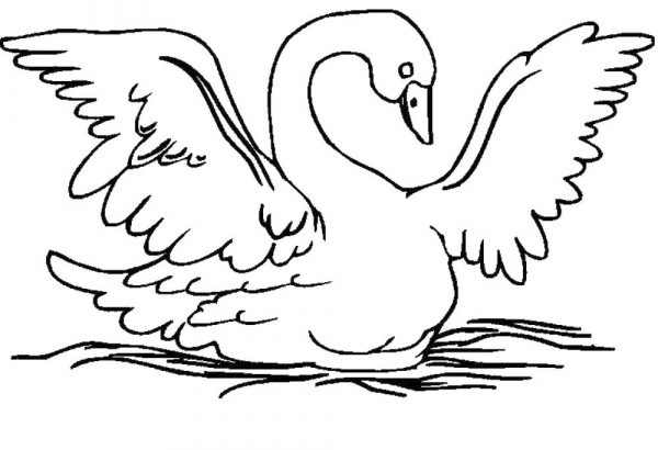 Раскраска Лебедь, Рак и Щука