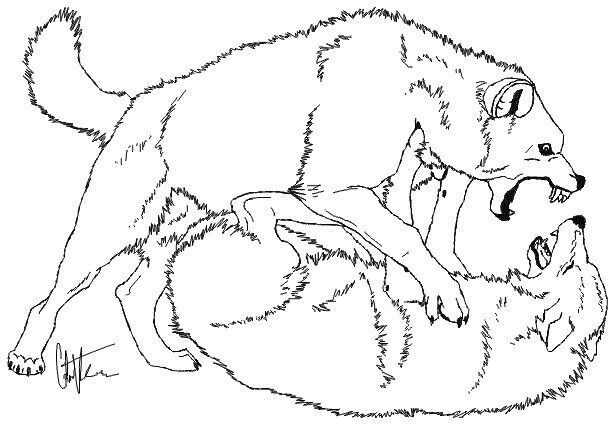 Раскраска волк на псарне