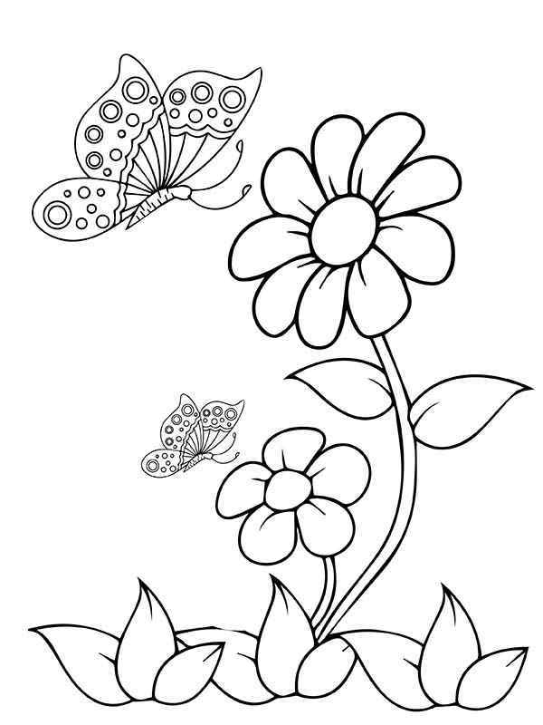 Раскраски Бабочки и цветы