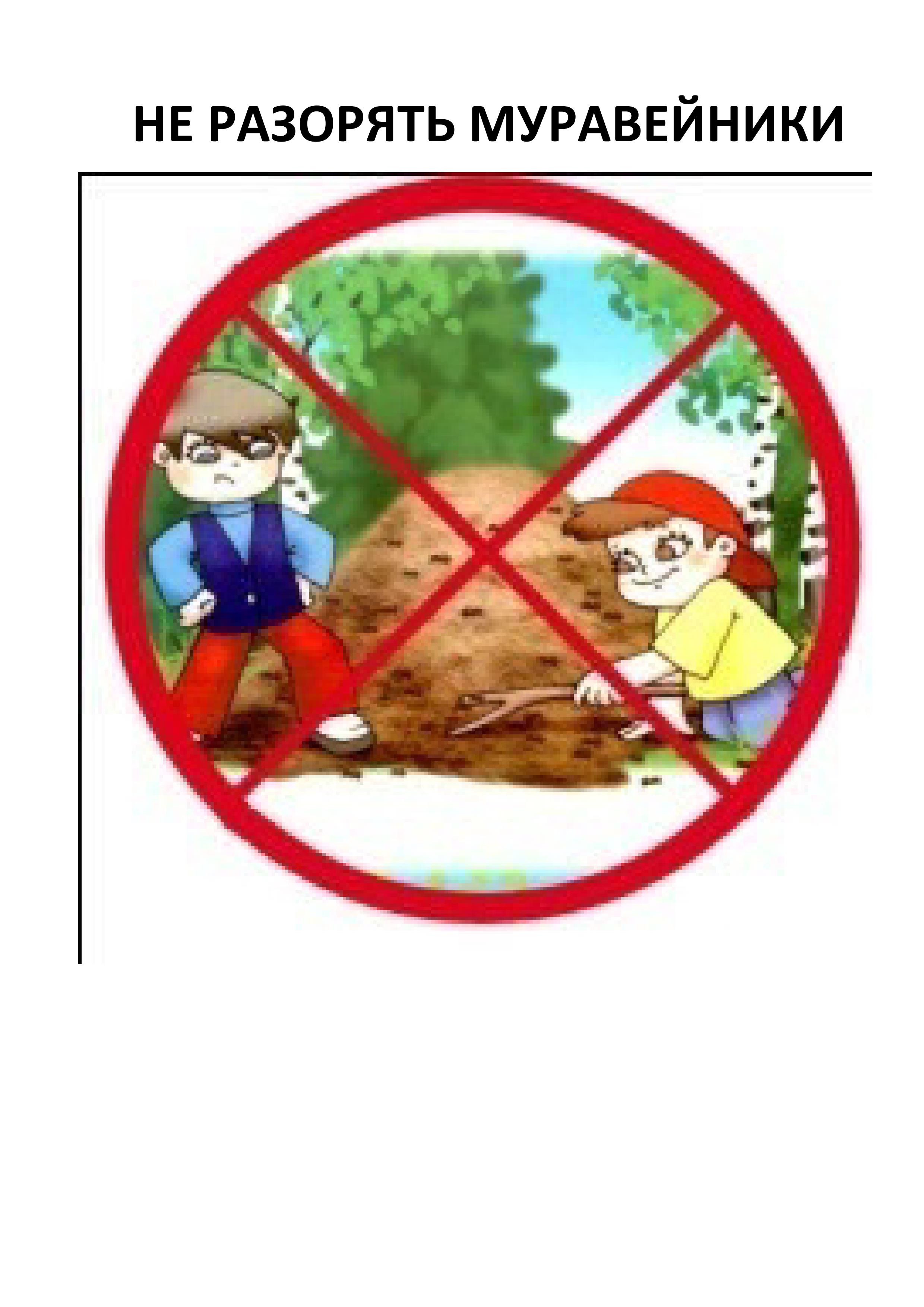 Запреты в детском саду. Не разоряй муравейники знак. Знаки поведения в природе. Знаки природы для детей. Экологические знаки.