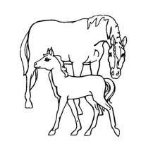 Лошадь и жеребнок