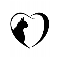 Сердце и кошка шаблон