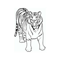 трафарет тигренка для рисования