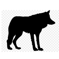 волк шаблон для вырезания