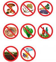 запрещающие знаки - экологические для детей