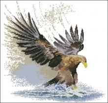 Схема вышивки крестом "Eagle in Flight"